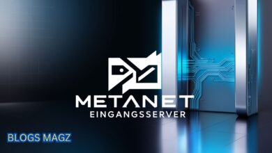 metanet eingangsserver​