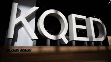 kqed this week david spark carla marinucci